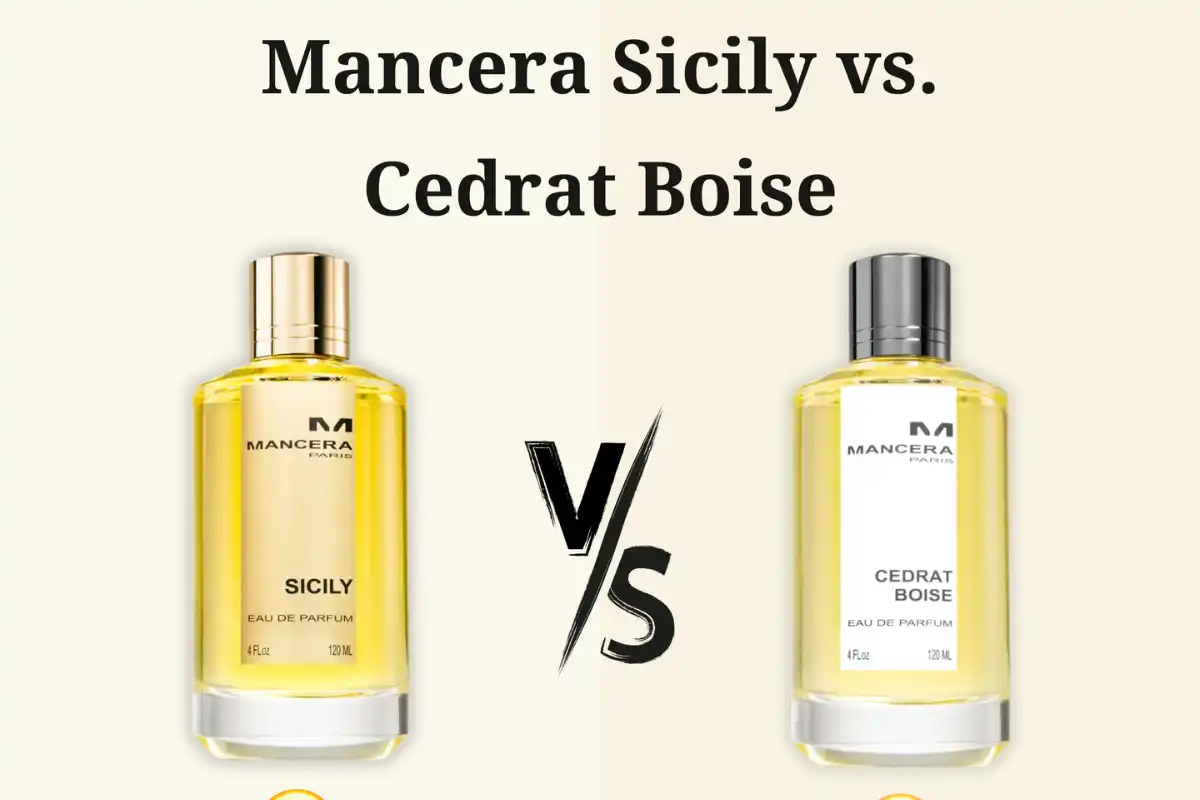 So Sánh Chi Tiết Mancera Sicily Vs. Cedrat Boise