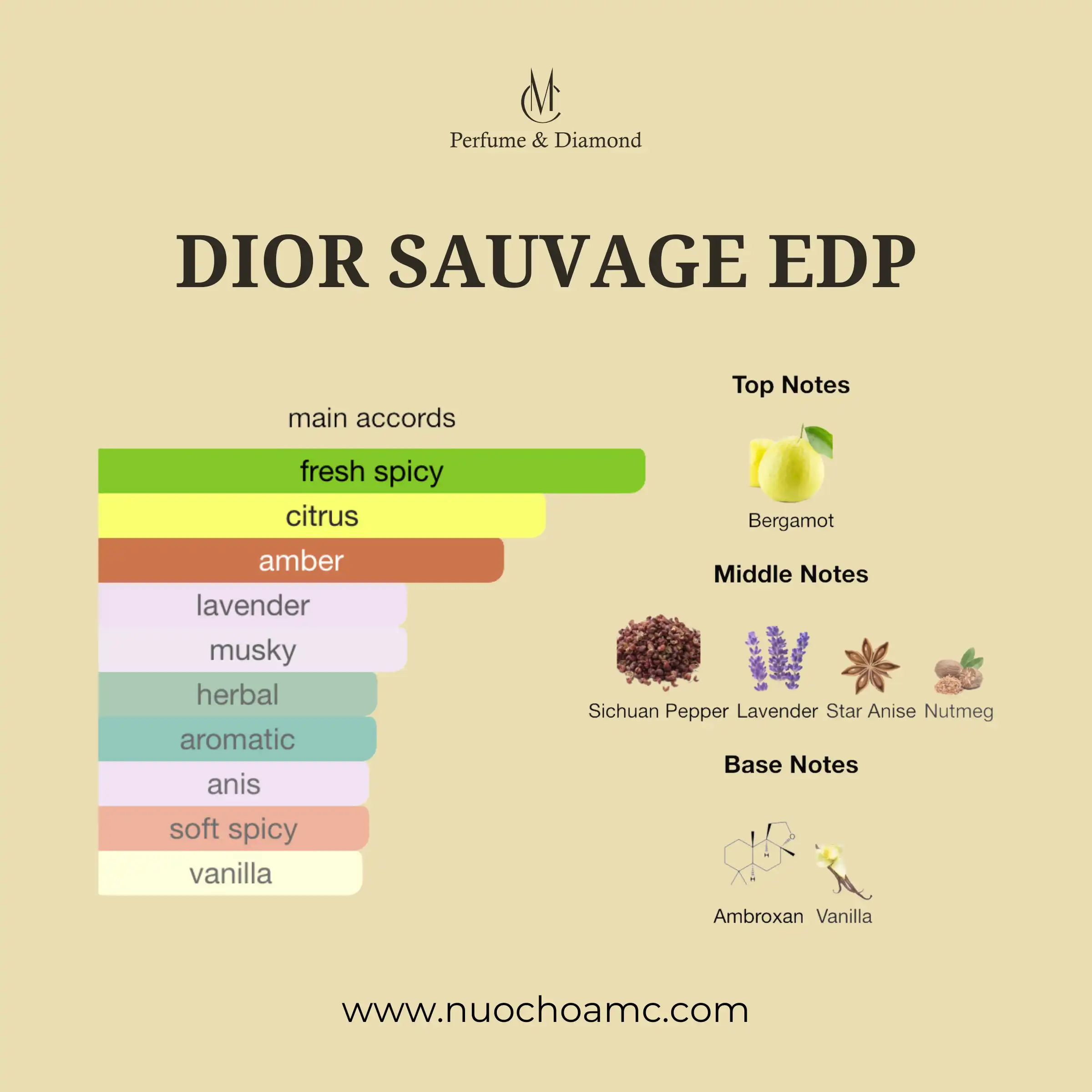 Mùi hương của Dior Sauvage EDP