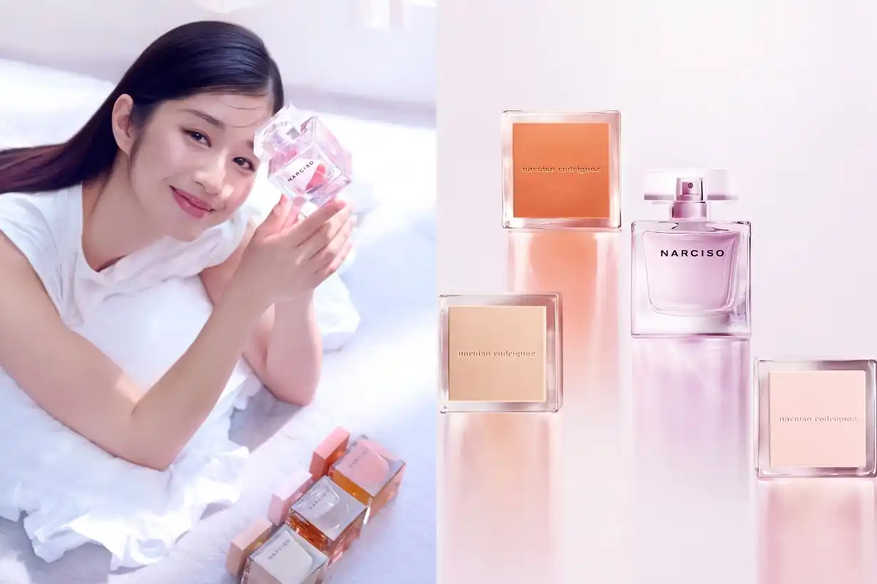 Dòng NARCISO có mấy loại?