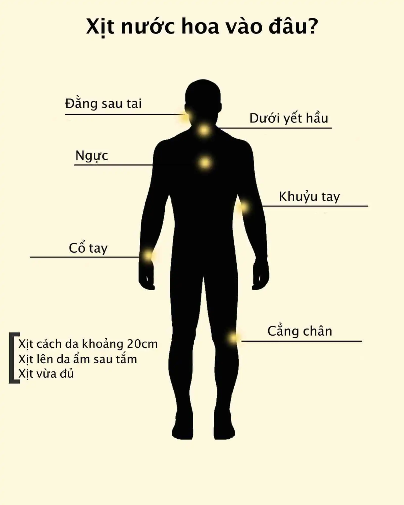 Nên: Tập trung vào các điểm mạch