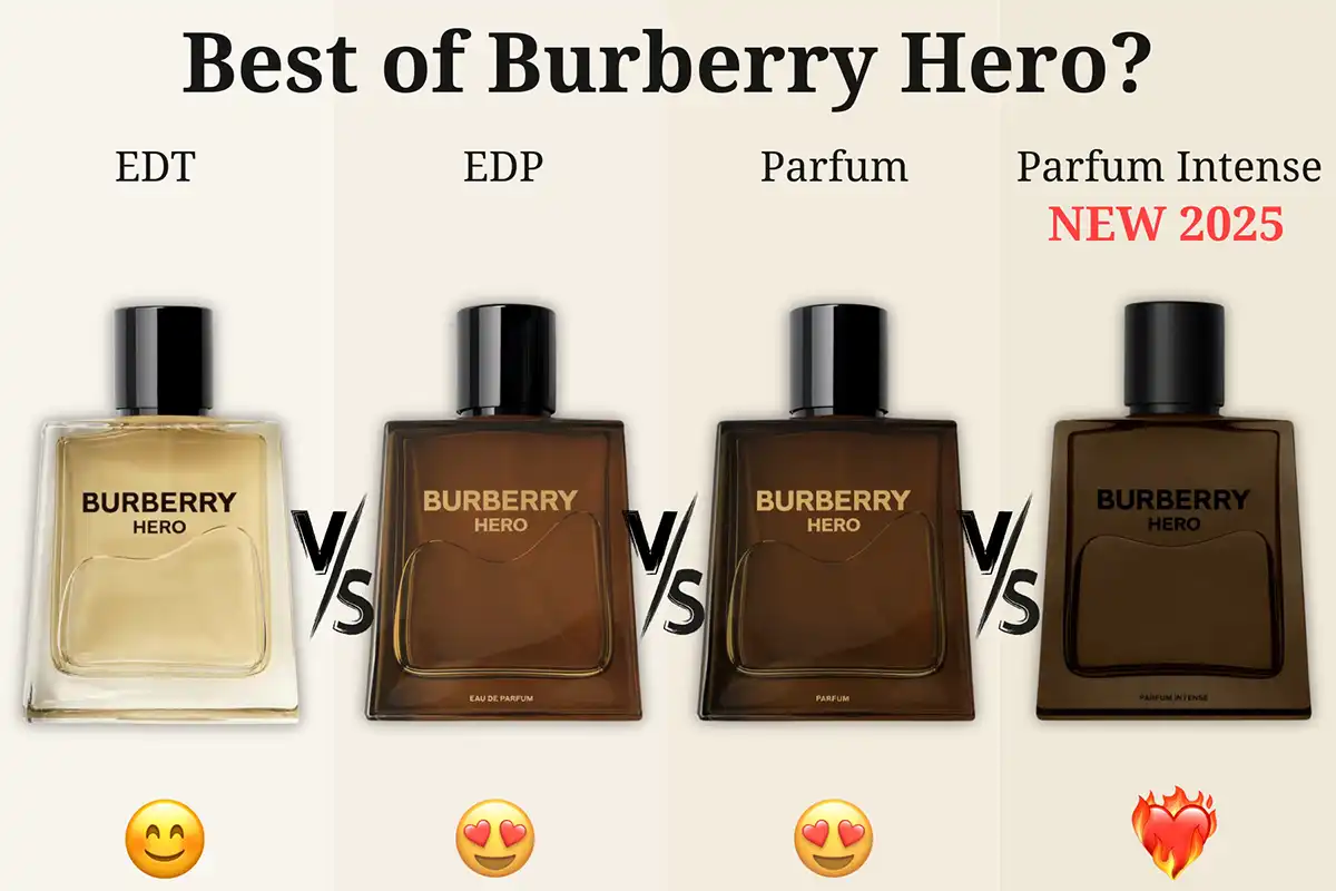 Burberry Hero EDT vs. EDP vs. Parfum vs. Intense