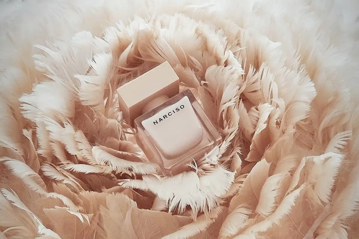 Review Nước Hoa Narciso Poudrée - Hồng Lùn