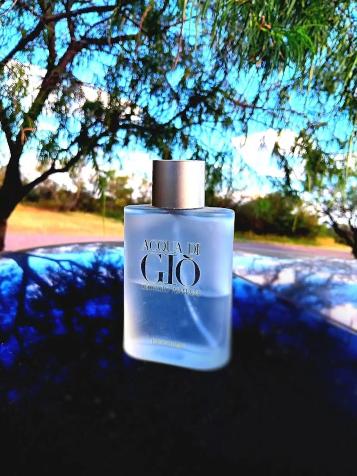 Bao bì và Giá cả nước hoa Acqua Di Giò EDT (Giò Trắng)