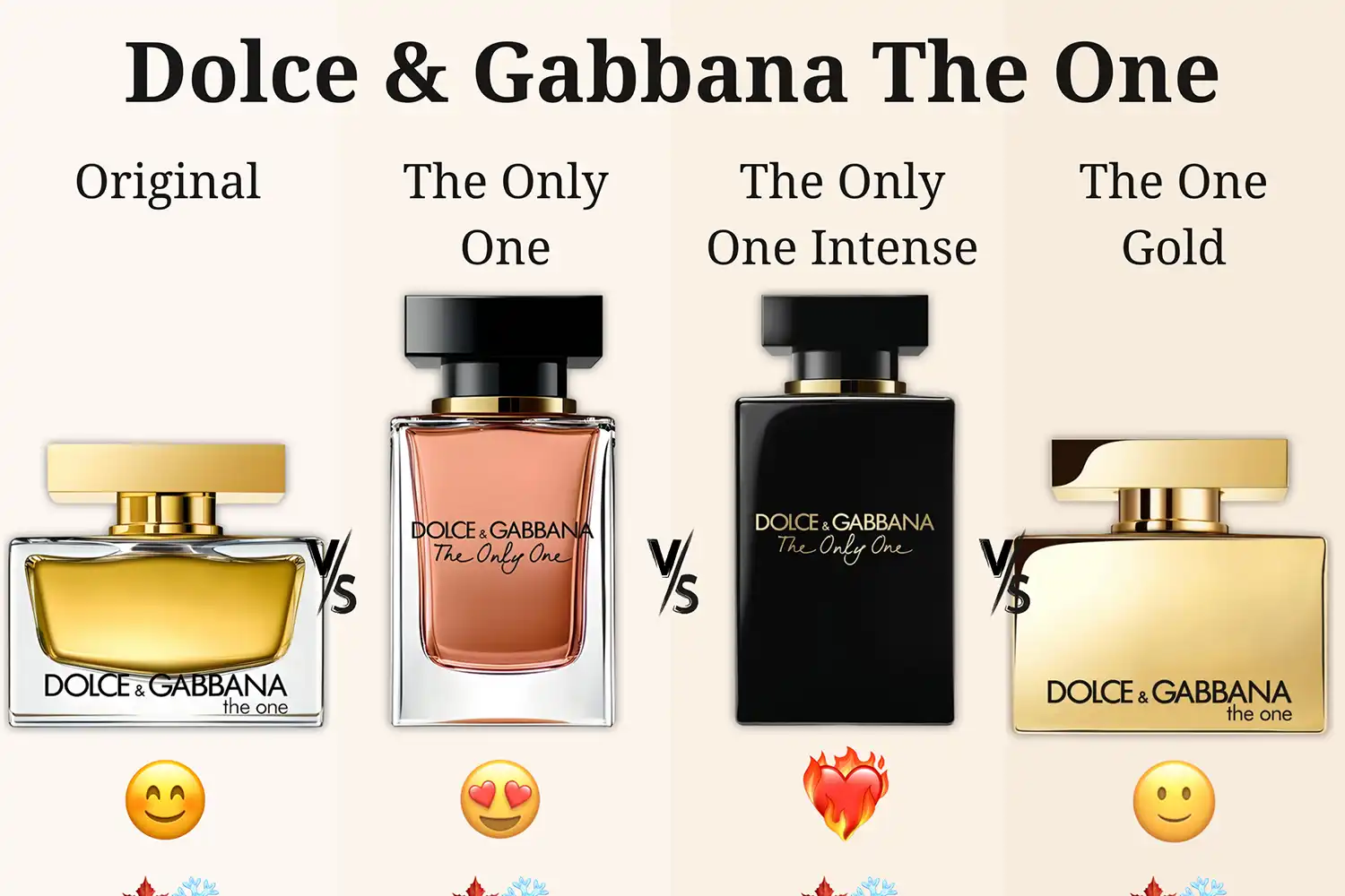 D&G The One For Women Có Mấy Loại? Mùi Nào Thơm?