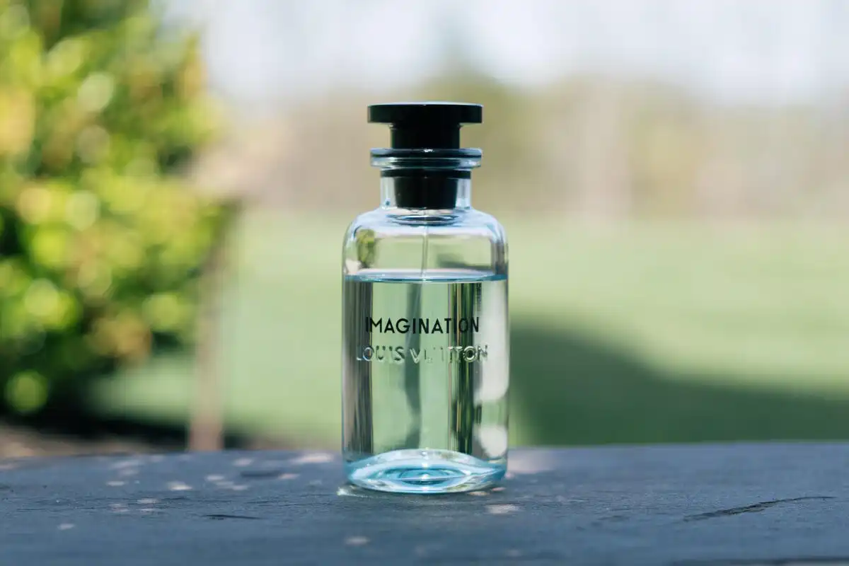 So Sánh Các Bản Dupe Của Louis Vuitton Imagination