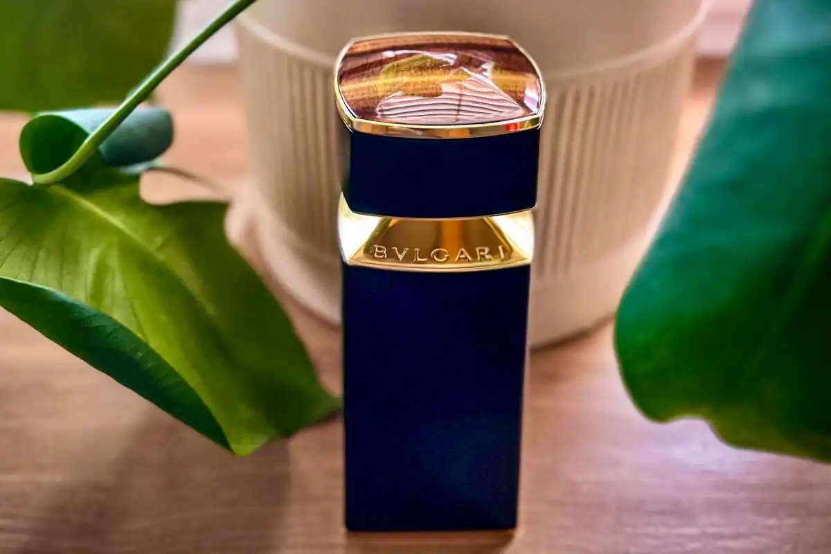 So Sánh Các Bản Dupe Của Bvlgari Tygar