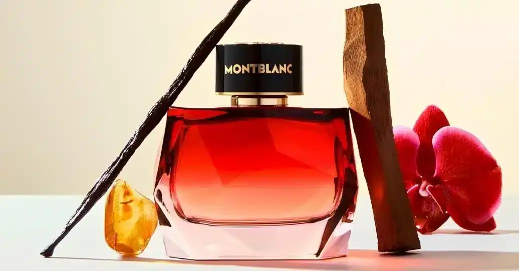 Montblanc Signature Có Mấy Loại? Mùi Nào Thơm?