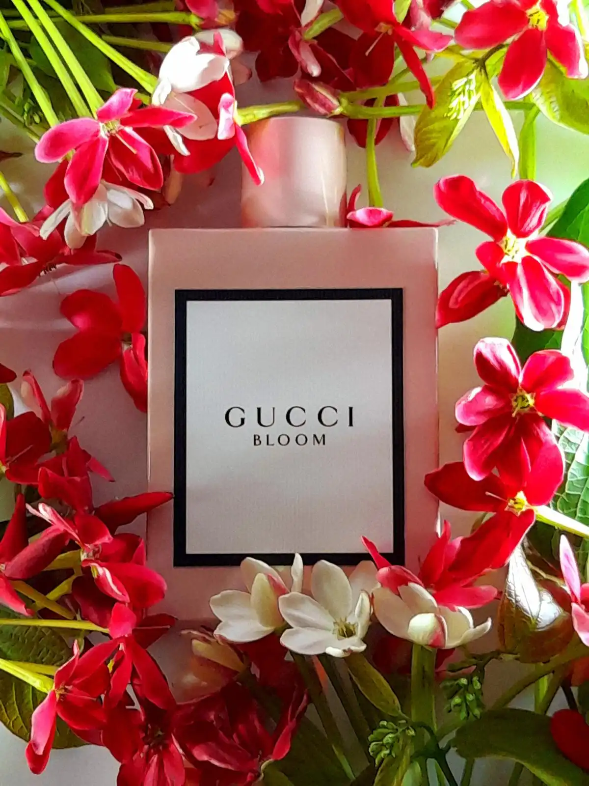 Độ lưu hương tuyệt vời của Gucci Bloom