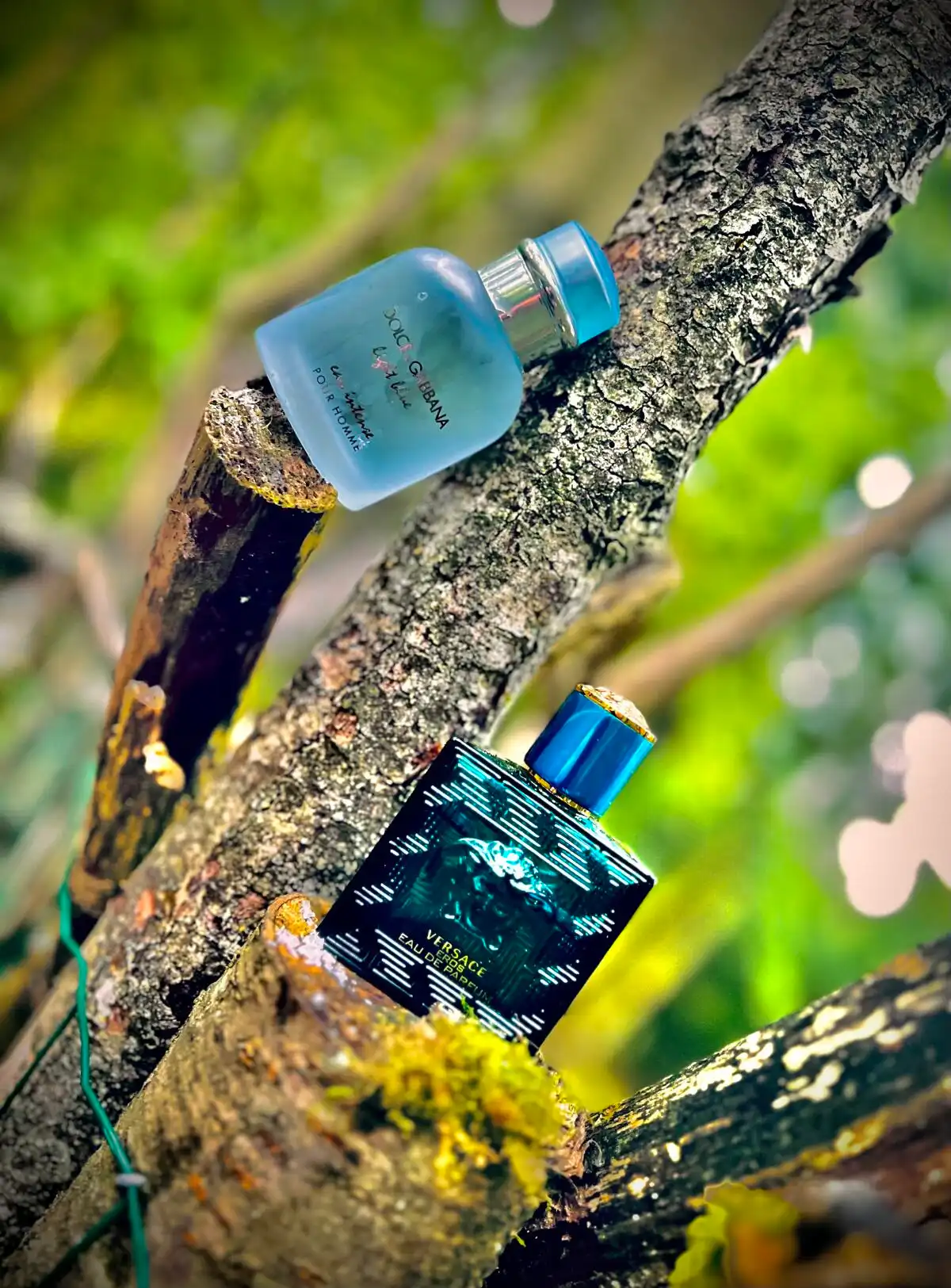 Độ tỏa hương Versace Eros Eau De Toilette