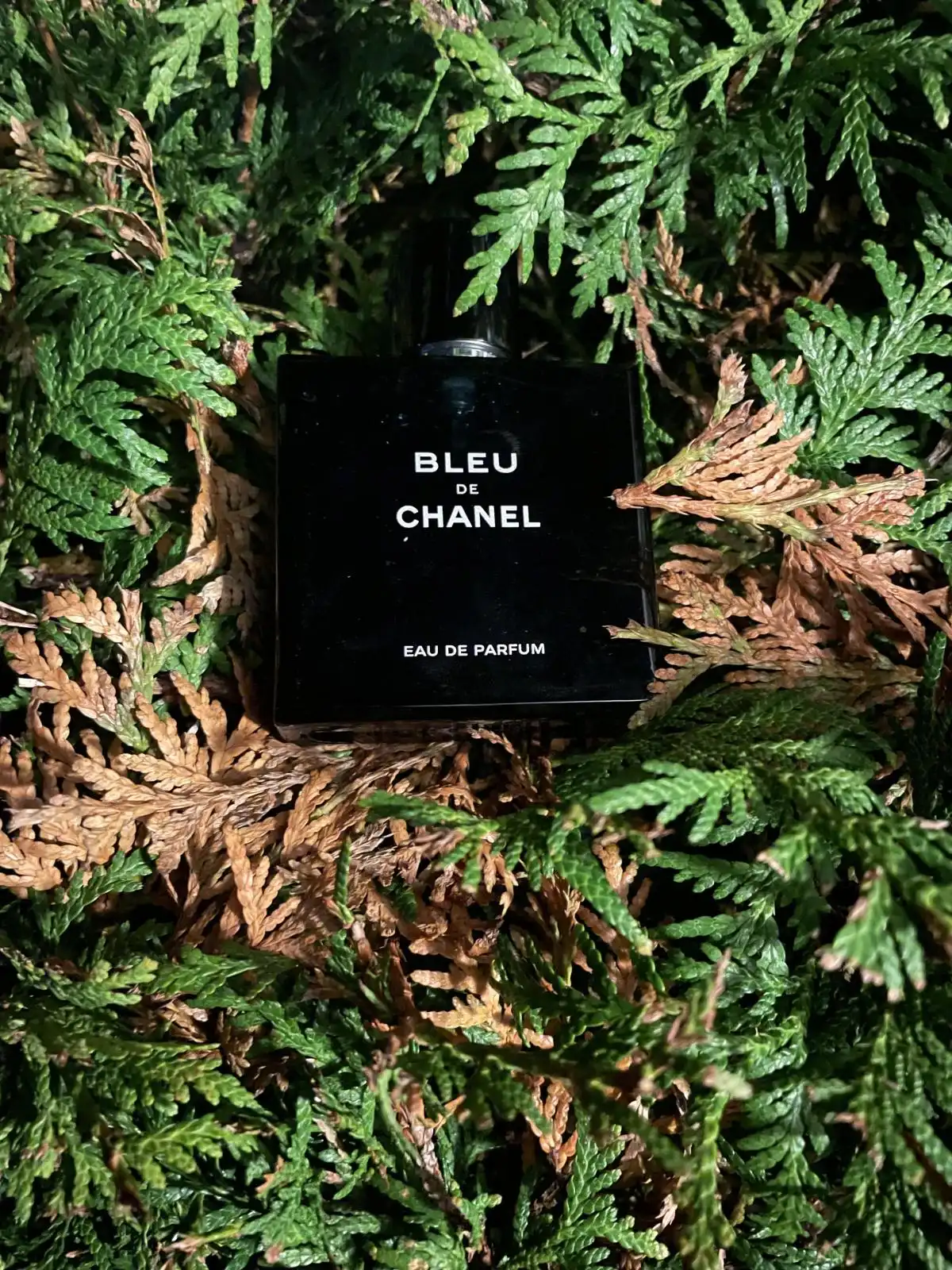 Xu hướng và Độ phổ biến Bleu De Chanel Eau De Parfum