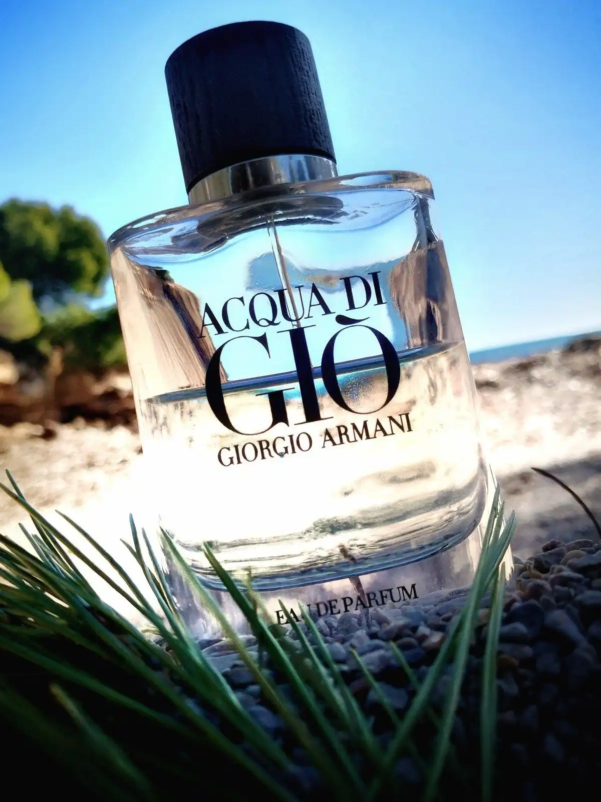 Độ tỏa hương của nước hoa Acqua Di Gio Eau de Parfum