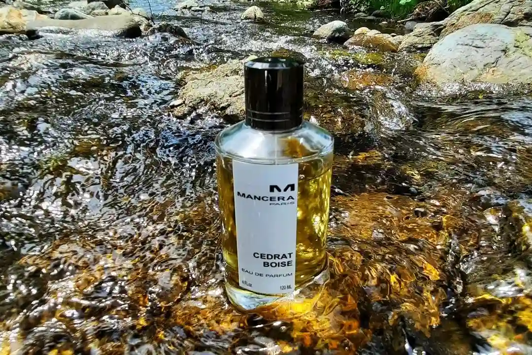 Review Nước Hoa Mancera Cedrat Boise Trong Năm 2024