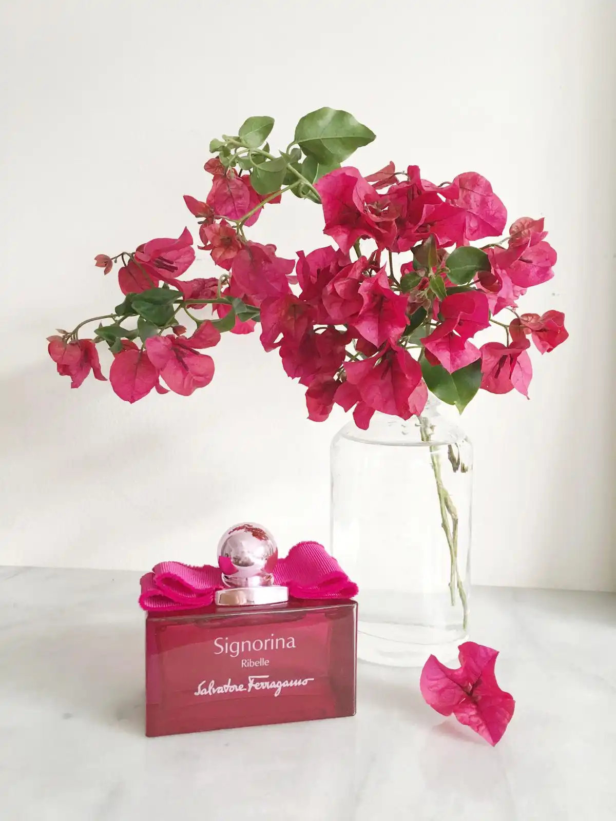 Độ lưu hương và tỏa hương nước hoa Signorina Ribelle (Signorina Hồng Đậm)