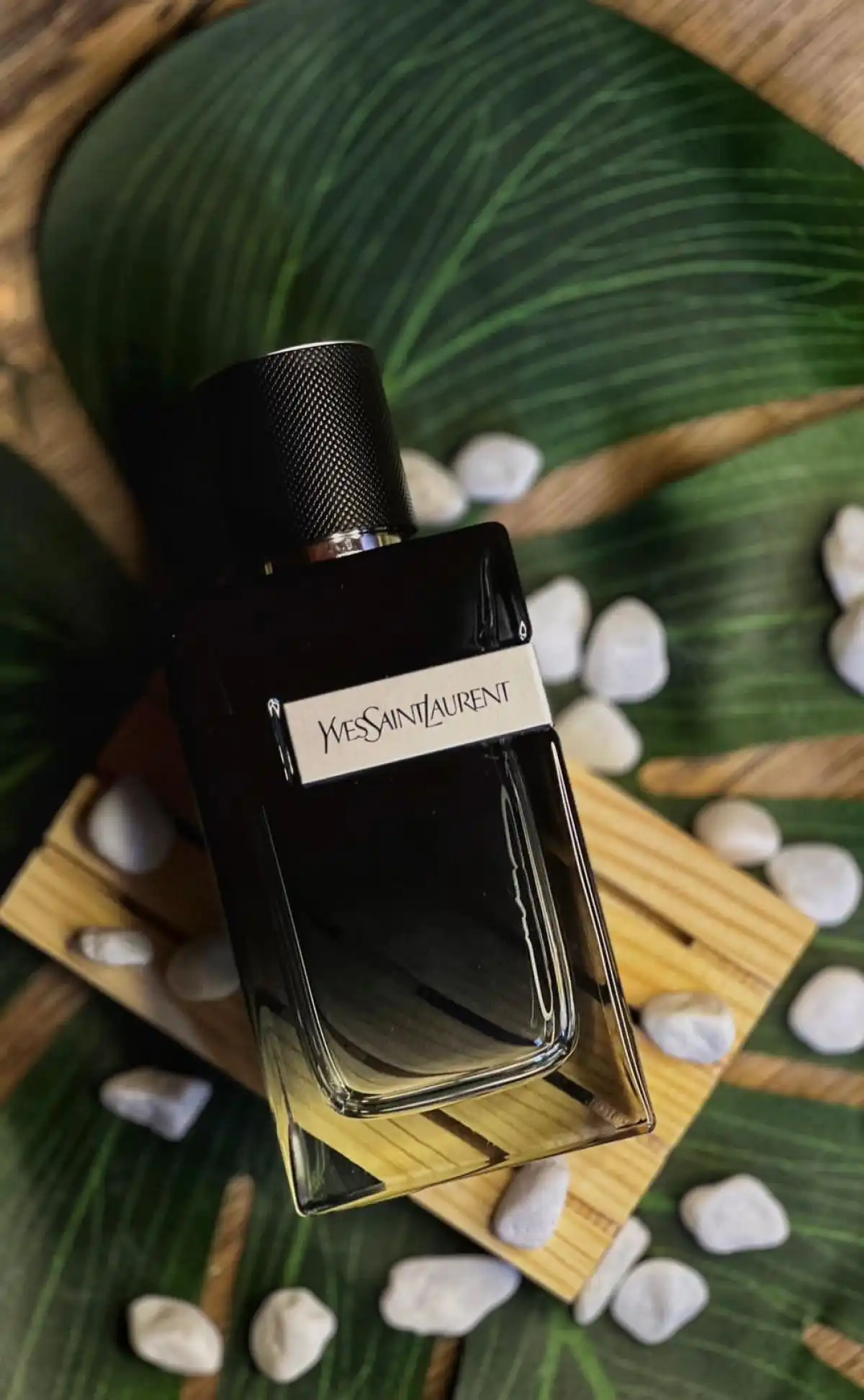 Độ tỏa hương nước hoa Yves Saint Laurent Y Eau De Parfum