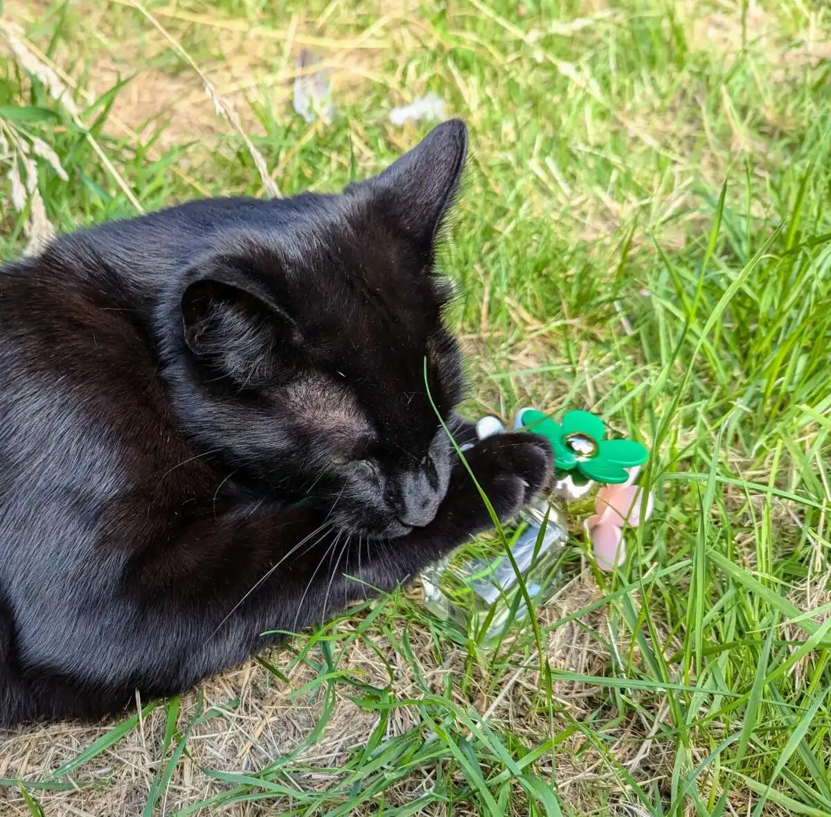 Độ lưu hương và tỏa hương Marc Jacobs Daisy Wild