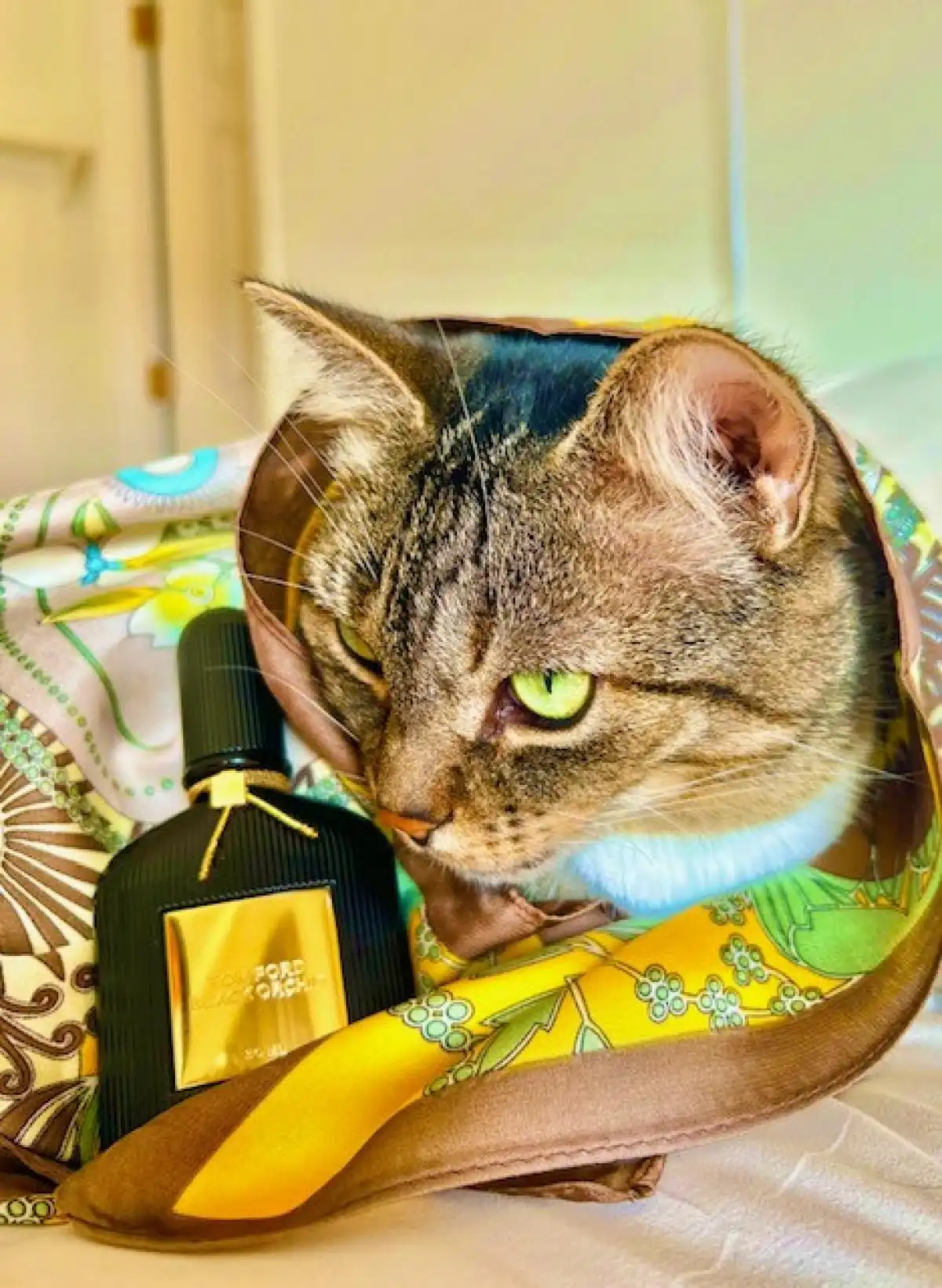 Black Orchid là nước hoa nam hay nữ?