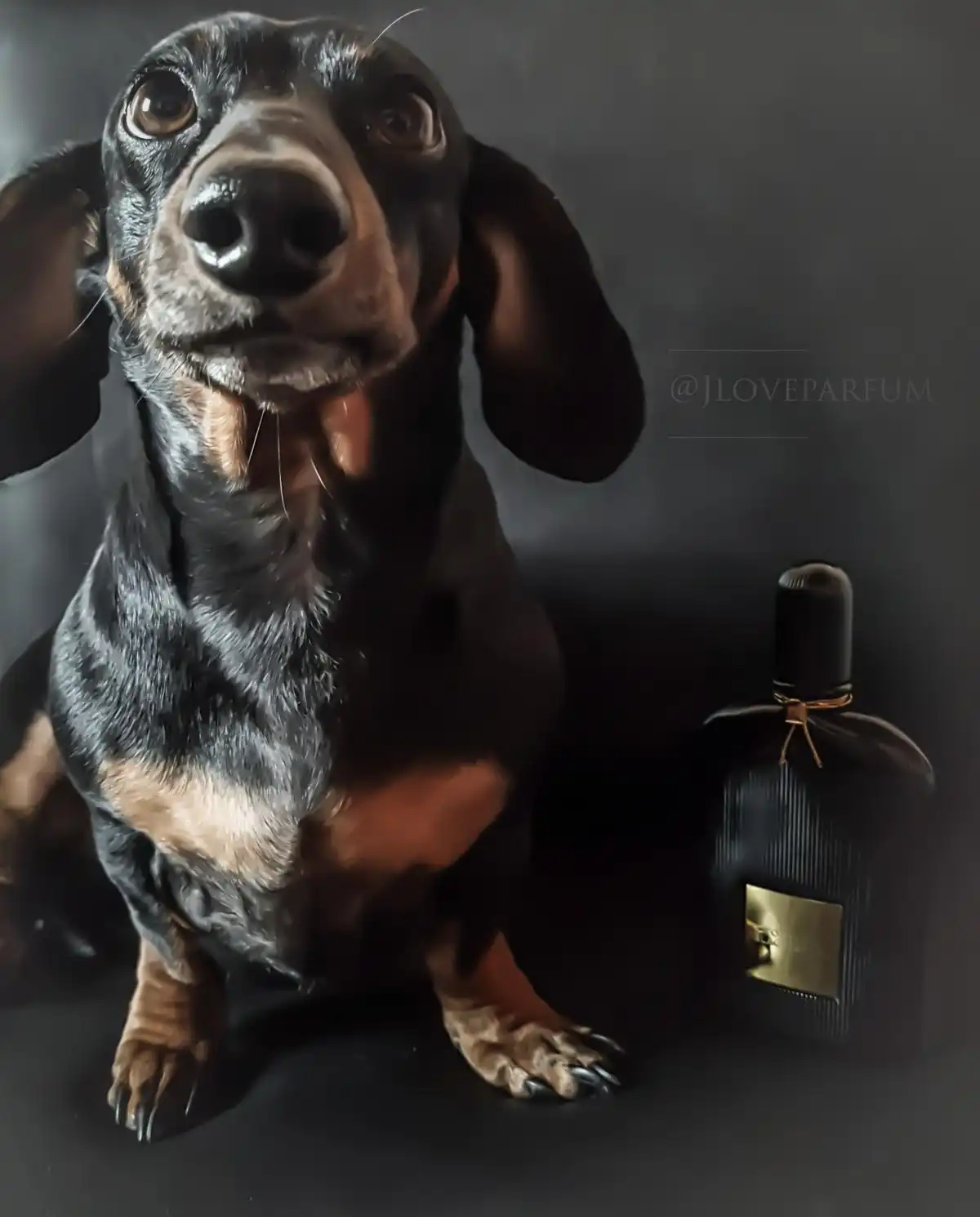 Độ tỏa hương Tom Ford Black Orchid