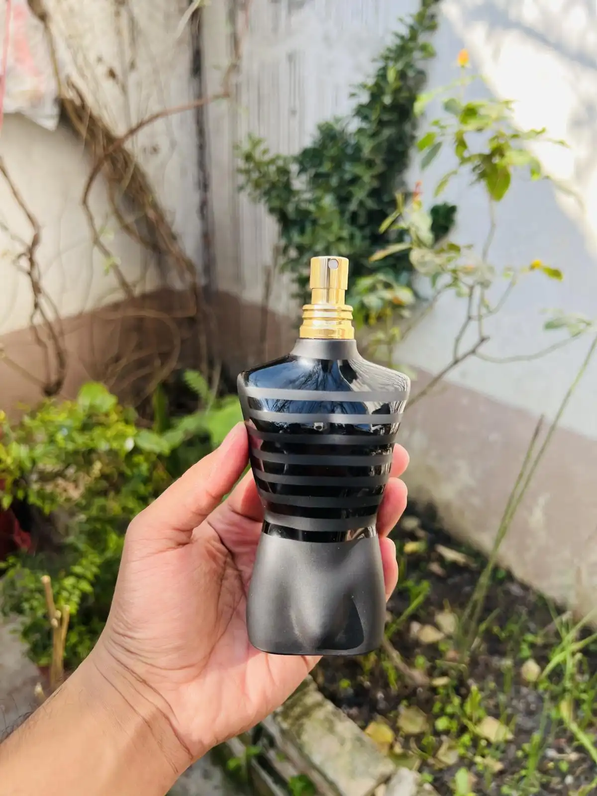 Độ lưu hương Nước Hoa Le Male Le Parfum