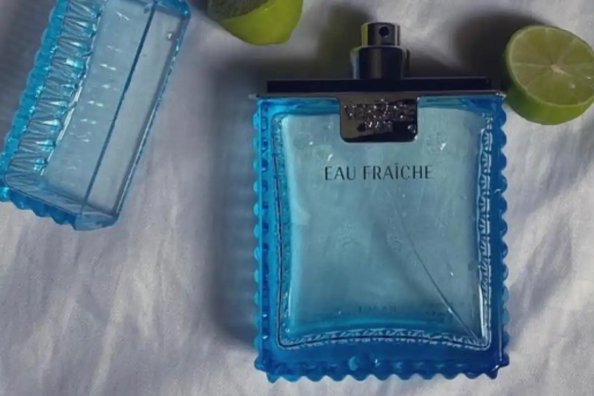 Review Nước Hoa Versace Man Eau Fraiche vs. D&G Light Blue