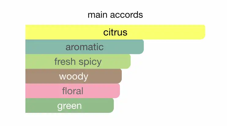 Mùi hương nước hoa L’eau D’Issey Pour Homme By Issey Miyake