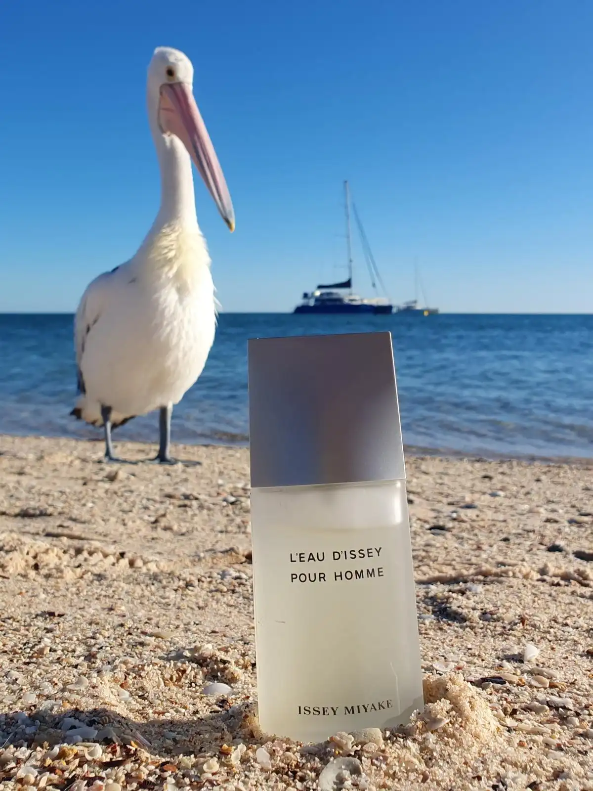 Độ lưu hương nước hoa L’eau D’Issey Pour Homme By Issey Miyake