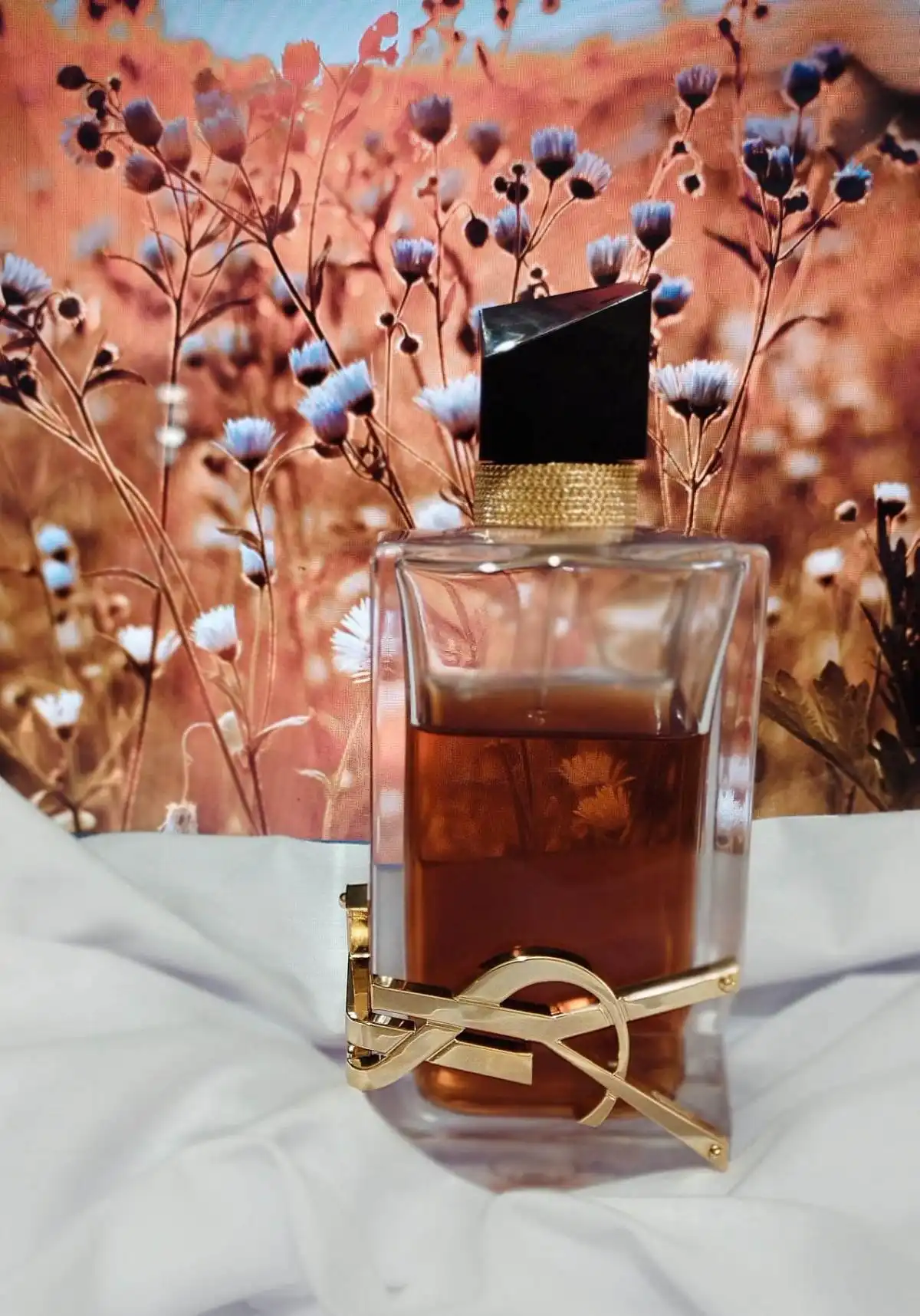 Độ tỏa hương Yves Saint Laurent Libre Le Parfum