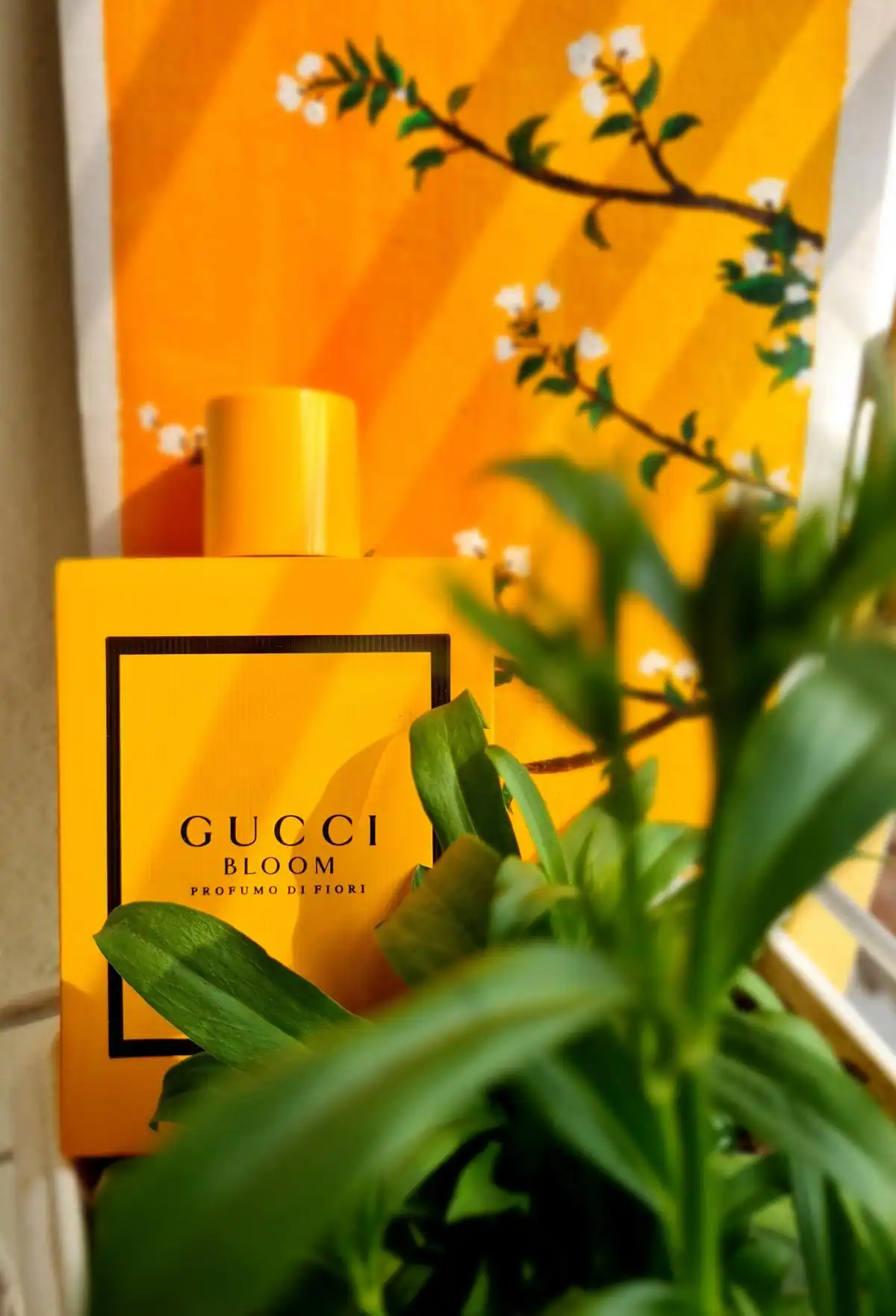 Độ tỏa hương nước hoa Gucci Bloom Profumo Di Fiori