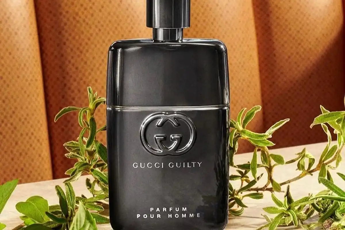 Review Nước Hoa Gucci Guilty Pour Homme (2022) Parfum