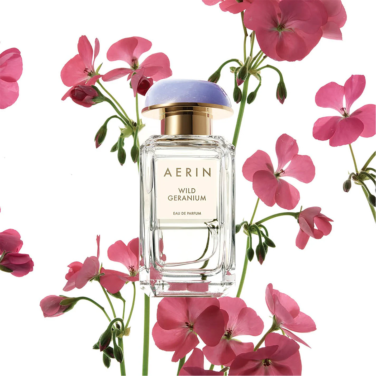 Hoa Geranium trong nước hoa có mùi gì