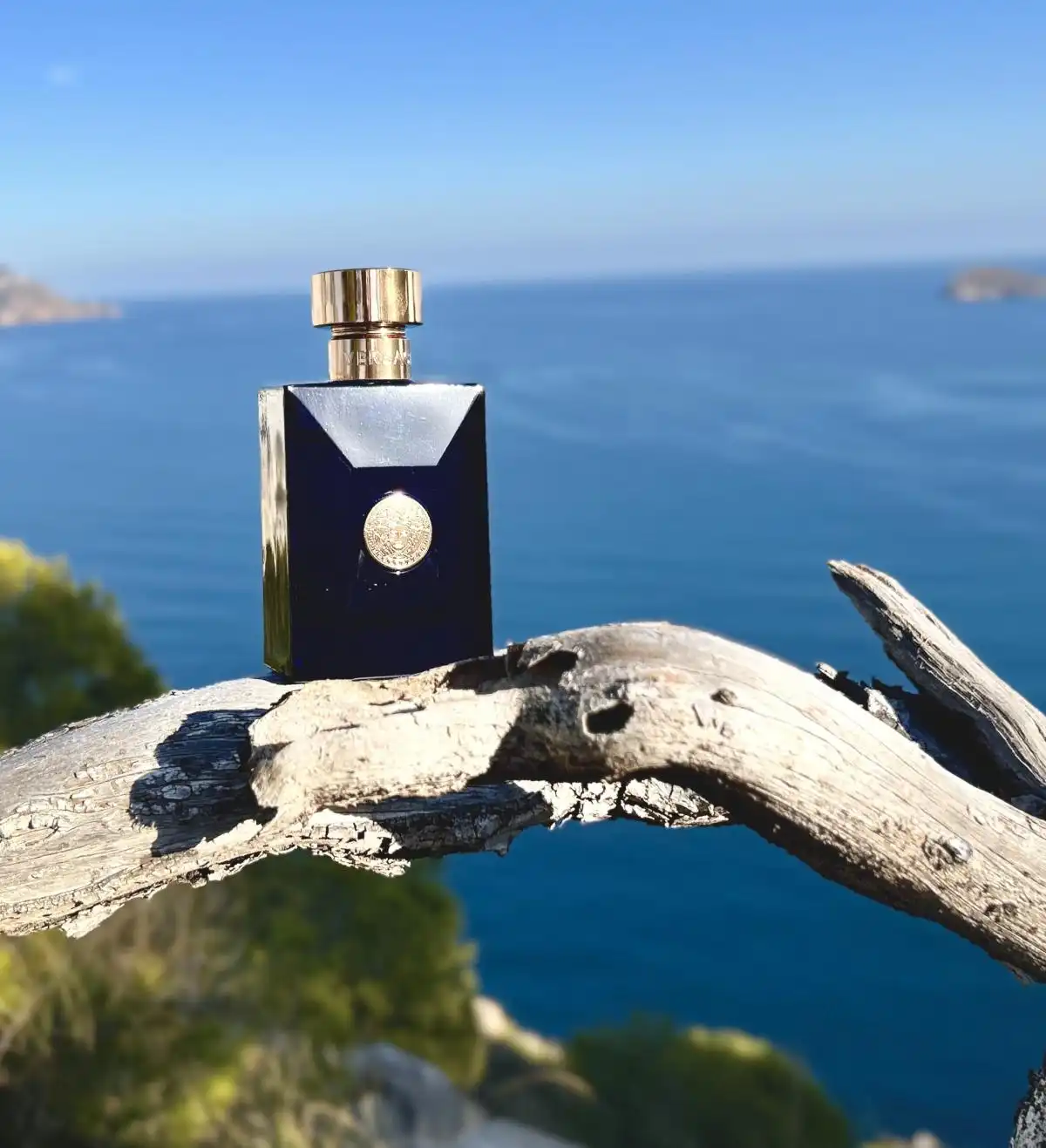 Mùi hương nước hoa Versace Pour Homme Dylan Blue