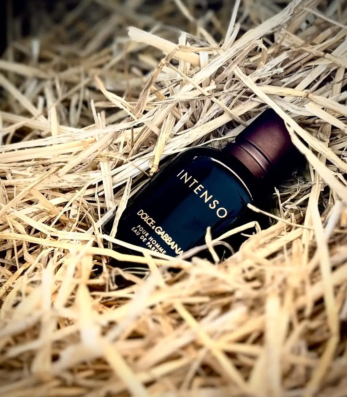 Độ lưu hương Dolce&Gabbana Pour Homme Intenso