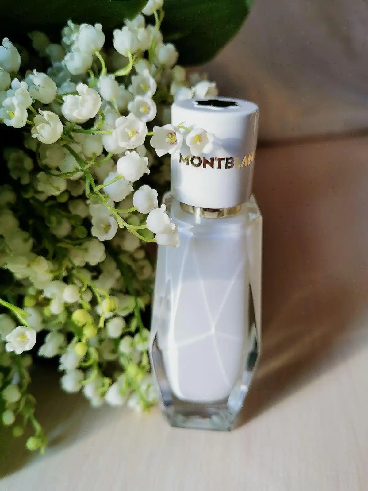 Phù hợp cho dịp nào nước hoa Montblanc Signature