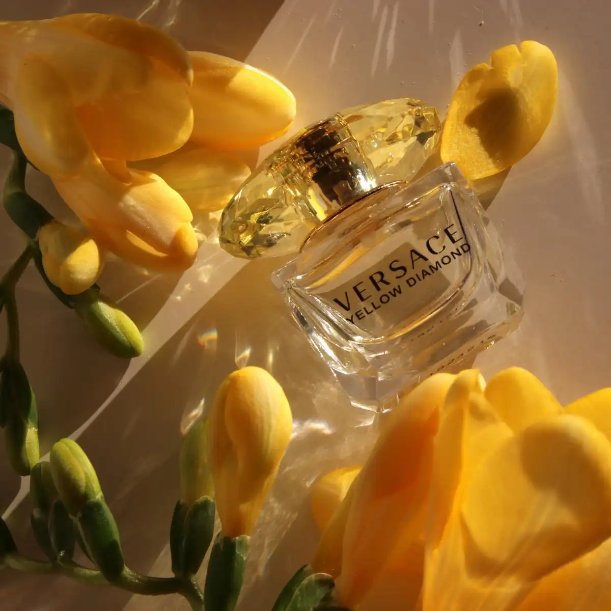 Tính linh hoạt Versace Yellow Diamond