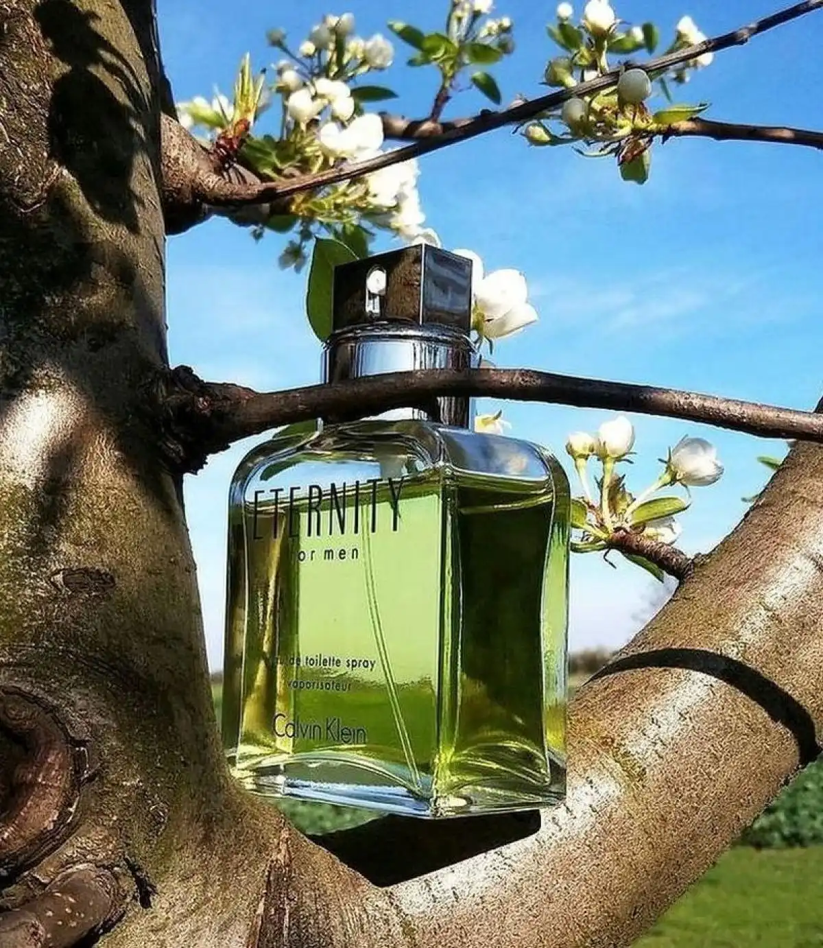 Độ lưu hương và tỏa hương nước hoa Calvin Klein Eternity For Men