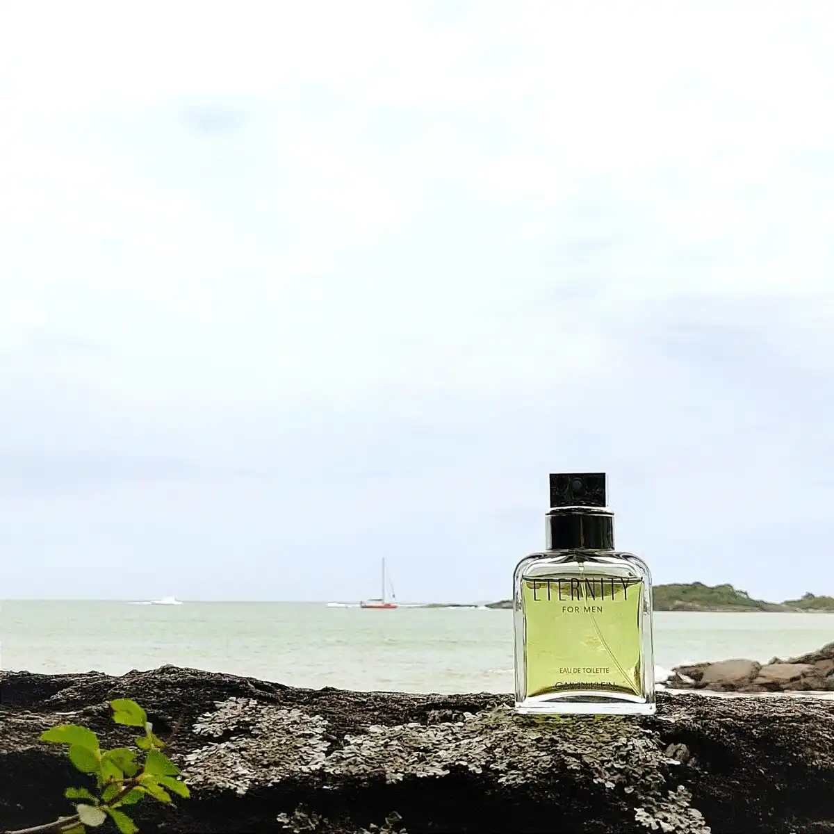 Những dịp và sự phù hợp nước hoa Calvin Klein Eternity For Men