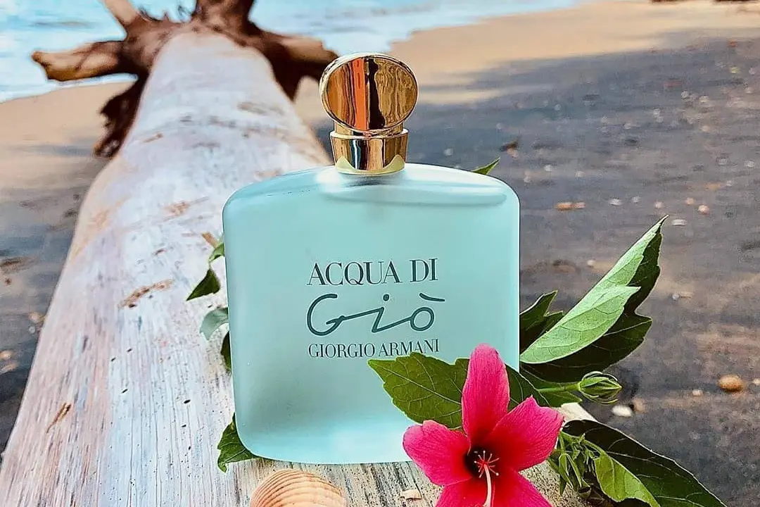 Giorgio Armani Acqua Di Giò EDT 100ml