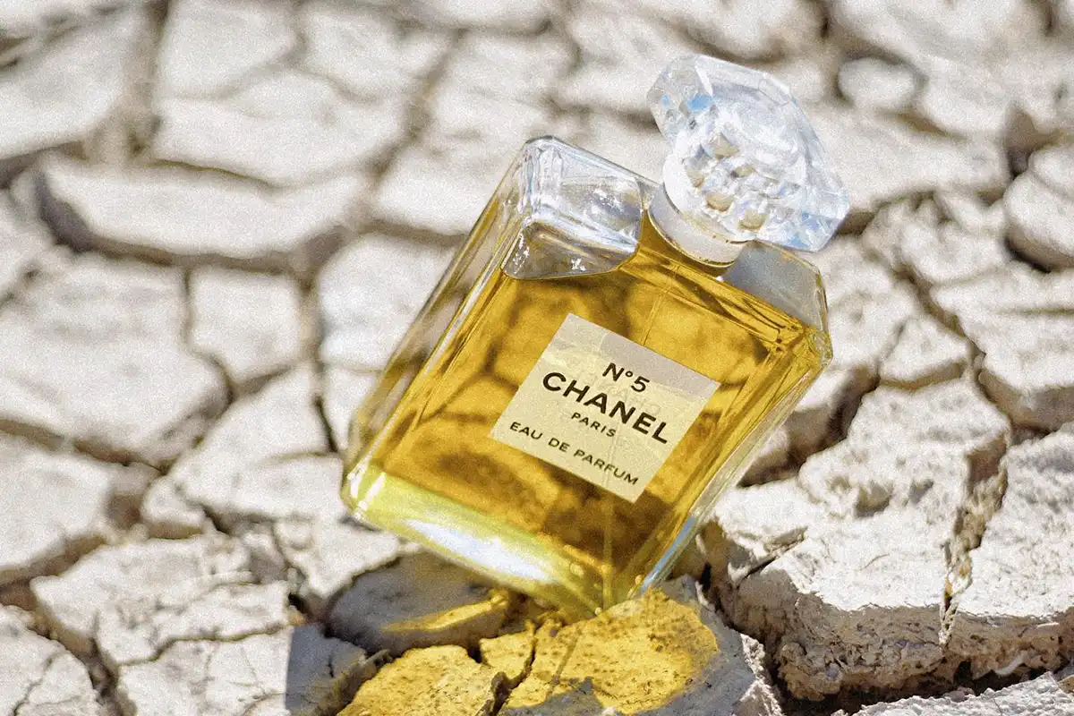 Review Nước Hoa Chanel No. 5: Có Xứng Đáng Với Sự Cường Điệu?