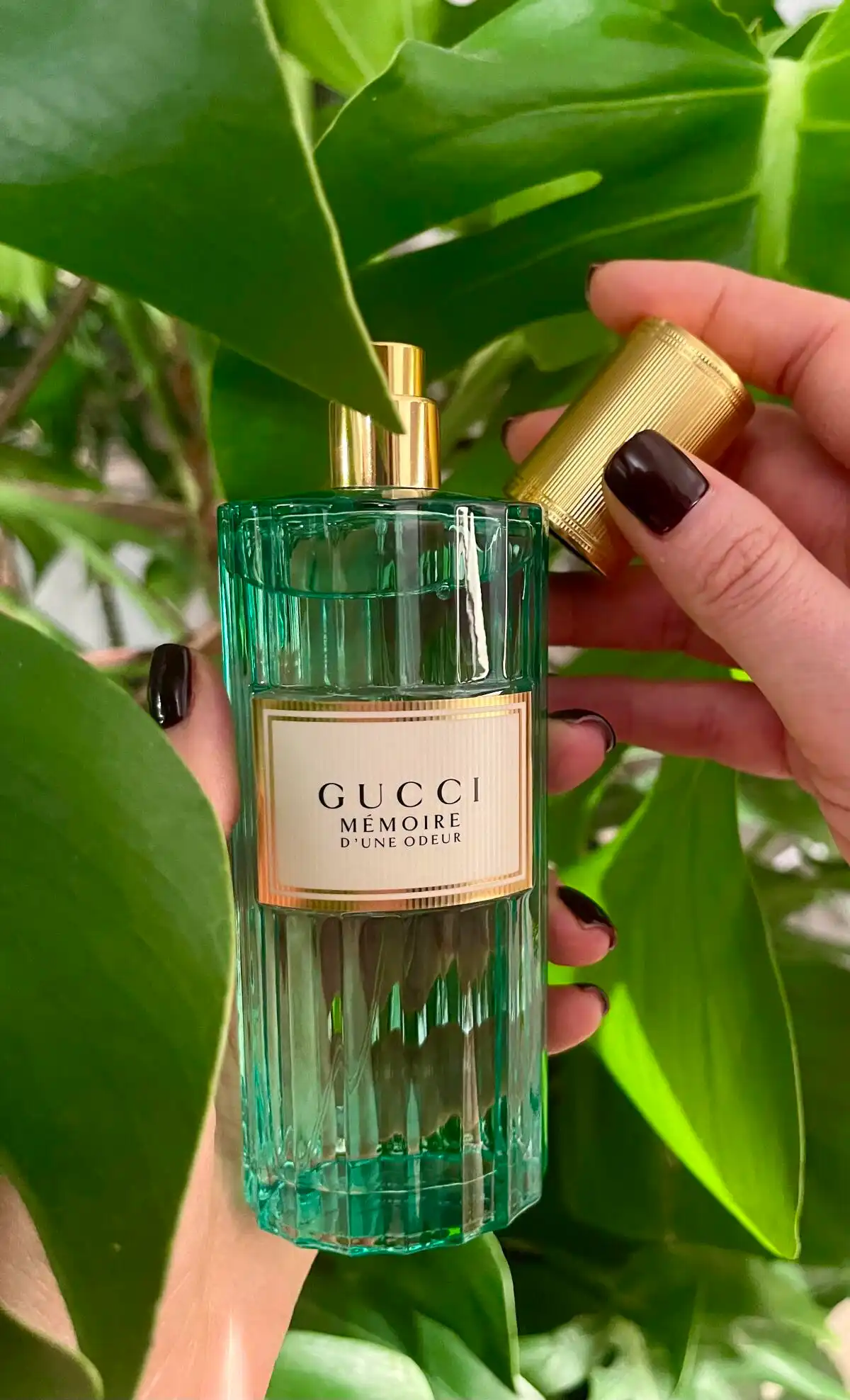 Khách hàng nói gì về Gucci Mémoire D’une Odeur