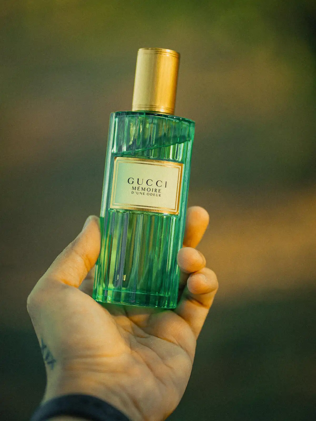 Cách sử dụng và dịp thích hợp Gucci Mémoire D’une Odeur