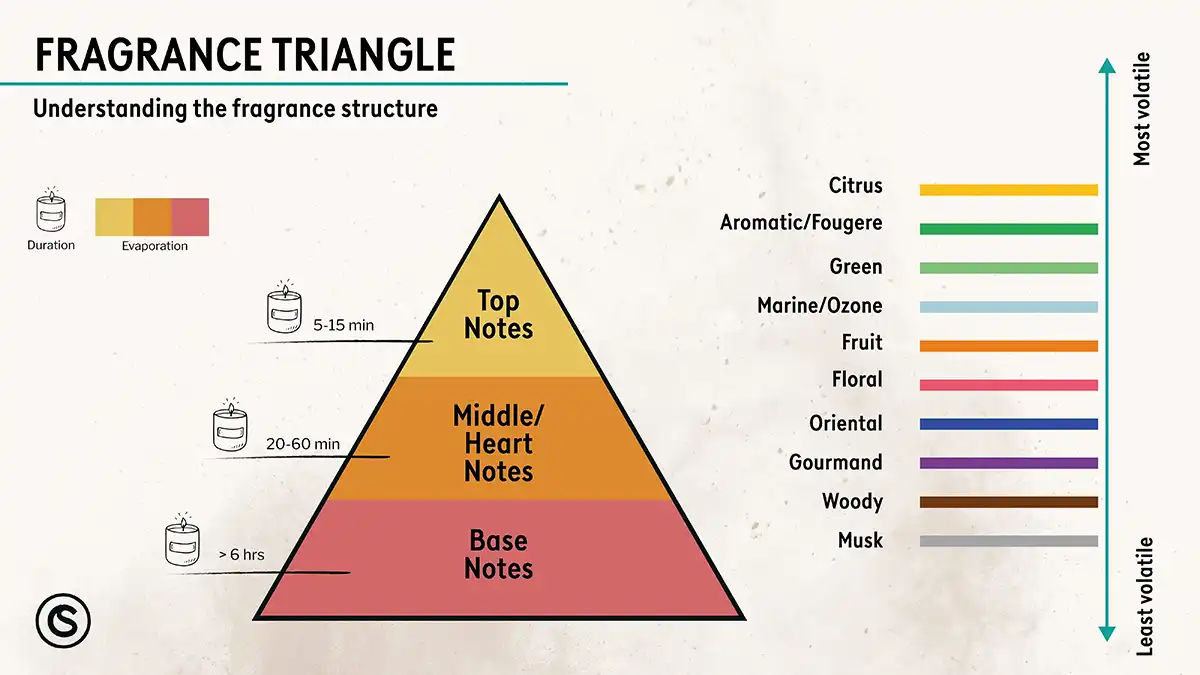 Các Nốt Hương (Notes) Trong Nước Hoa Là Gì?