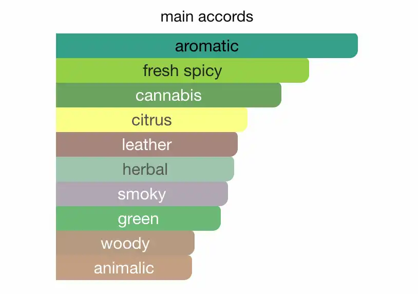 Mùi hương Carolina Herrera Bad Boy Le Parfum