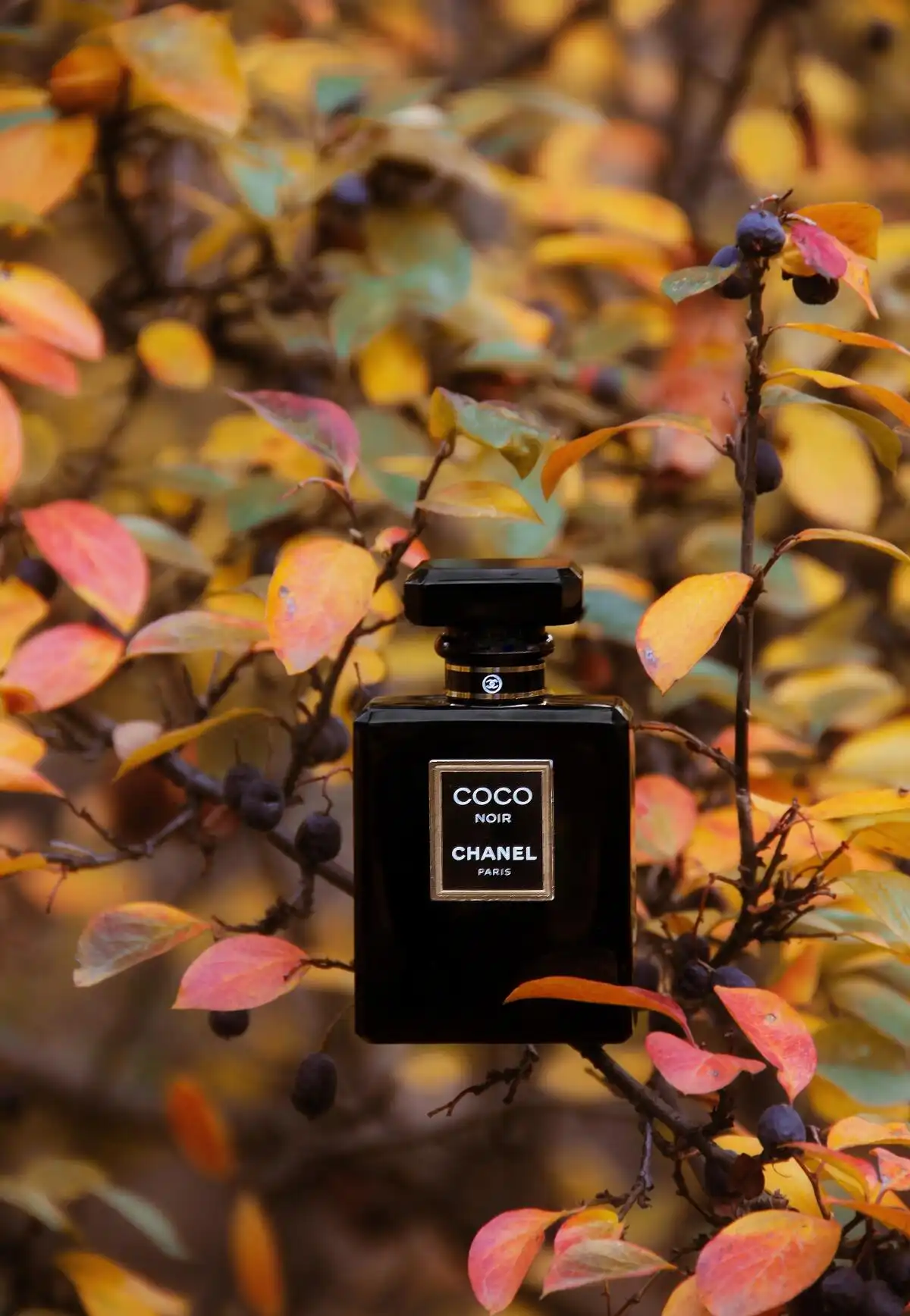 Nước hoa Chanel Coco Noir phù hợp với ai?