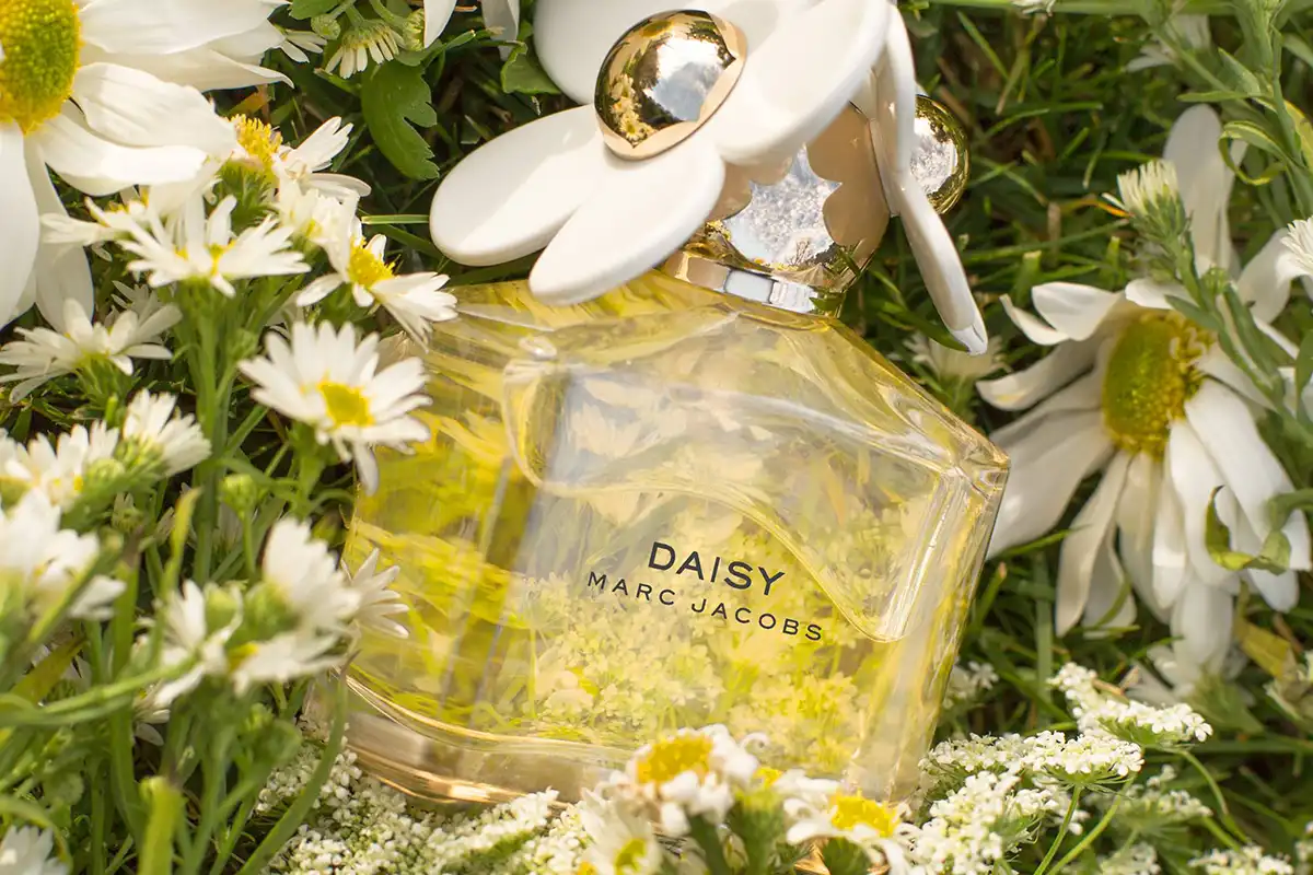 Review Nước Hoa Marc Jacobs Daisy