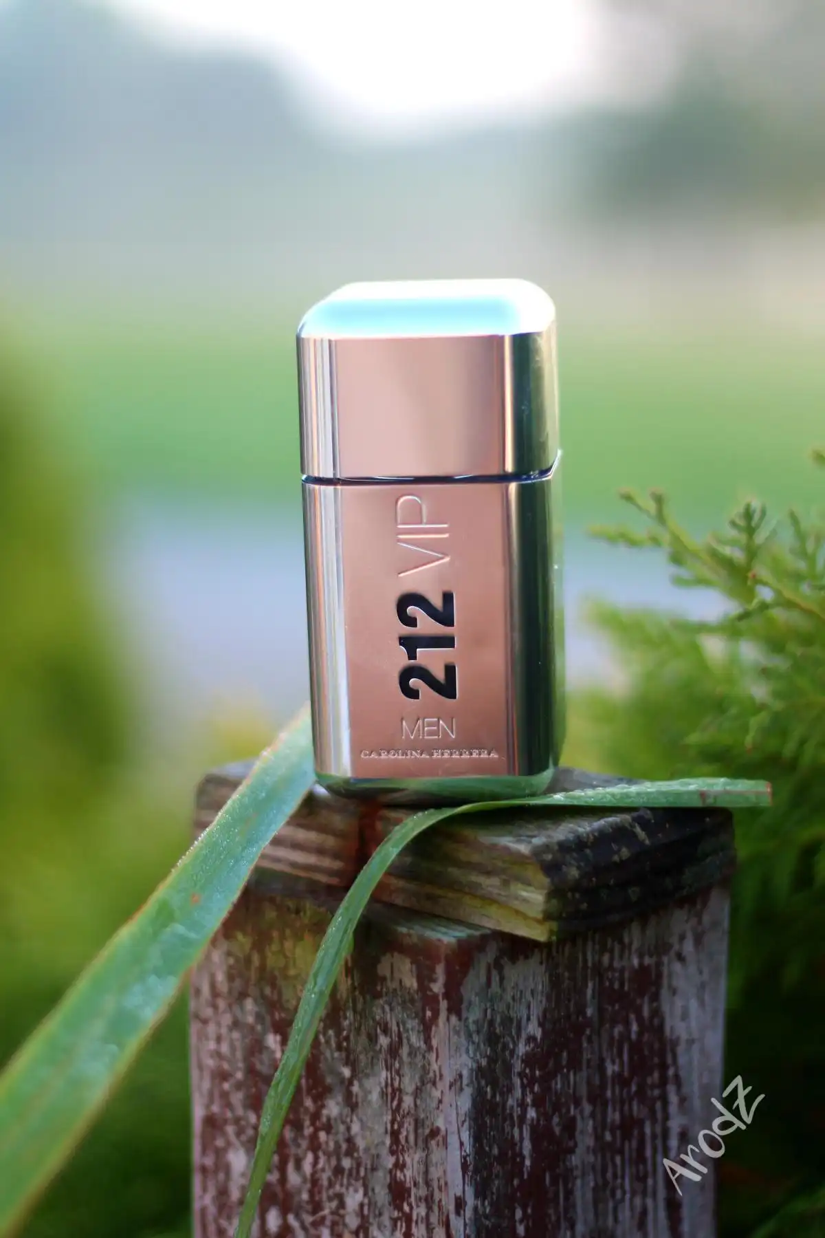 Độ tỏa hương Carolina Herrera 212 Vip Men