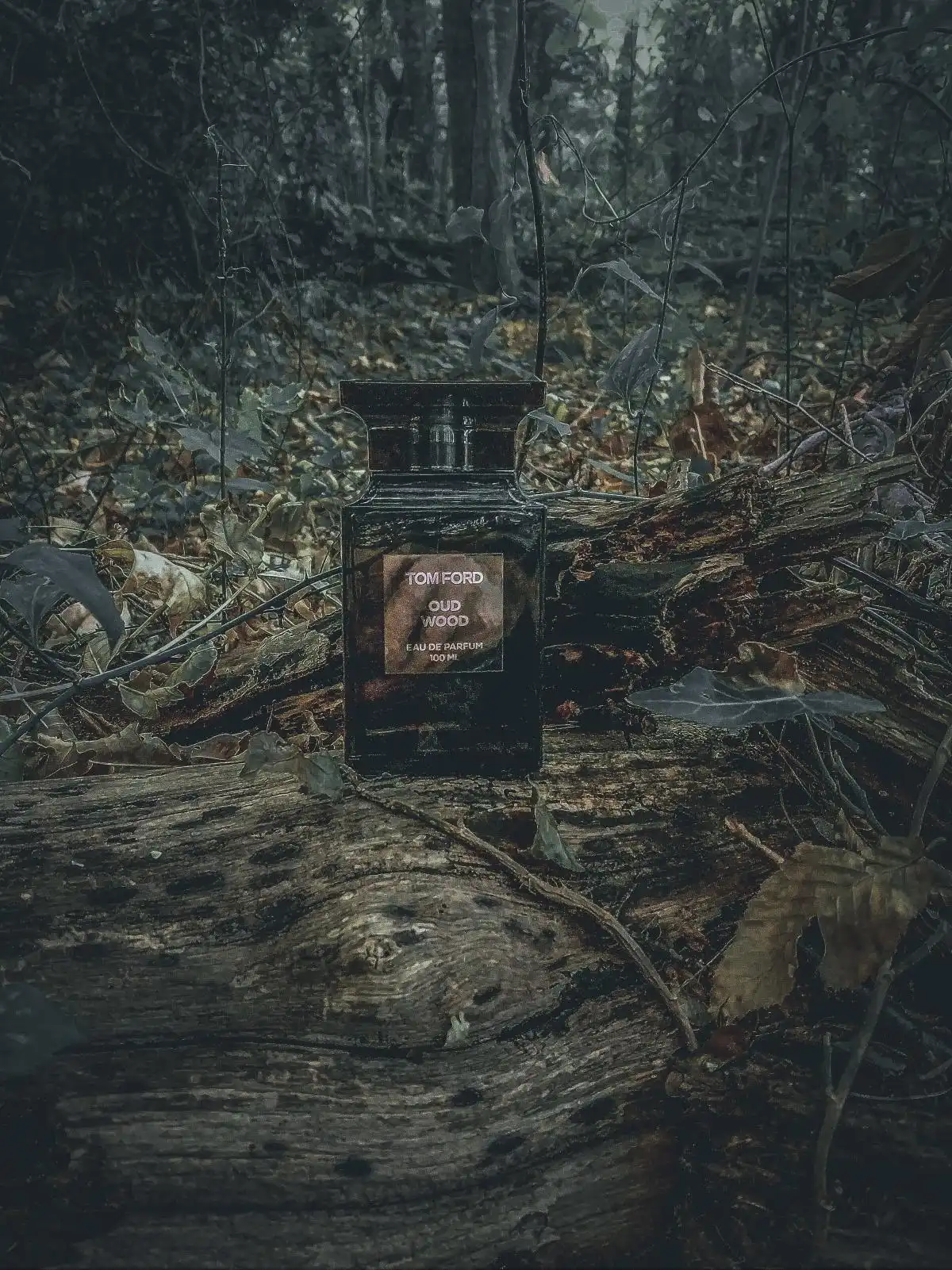 Độ Lưu Hương và Tỏa Hương nước hoa Tom Ford Oud Wood
