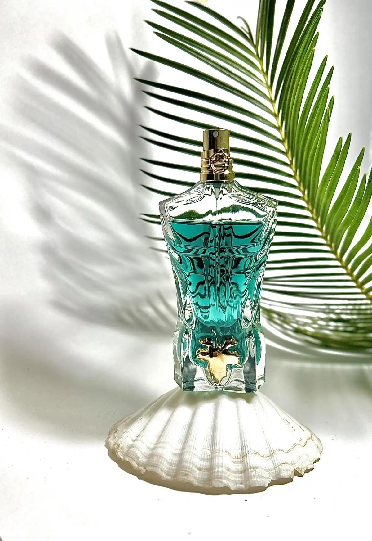 Độ tỏa hương và tỏa hương Jean Paul Gaultier Le Beau EDT