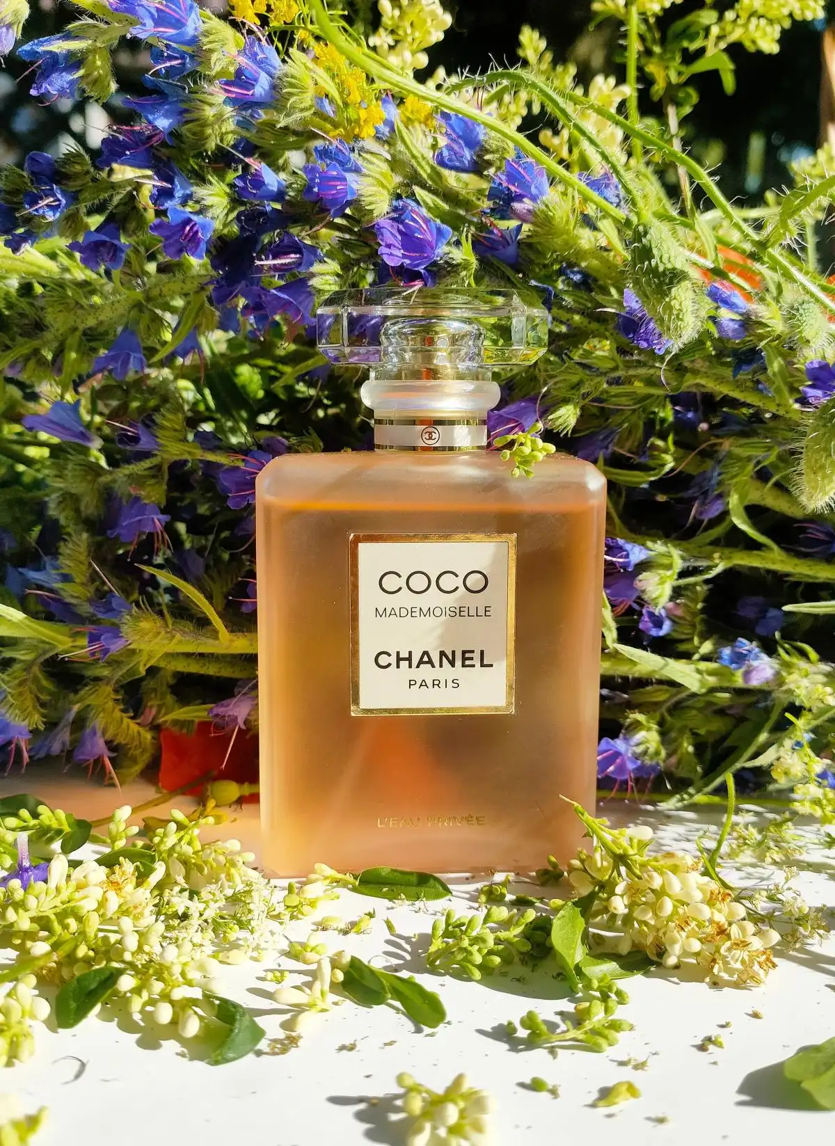 Độ lưu hương Nước Hoa Coco Mademoiselle L’Eau Privée