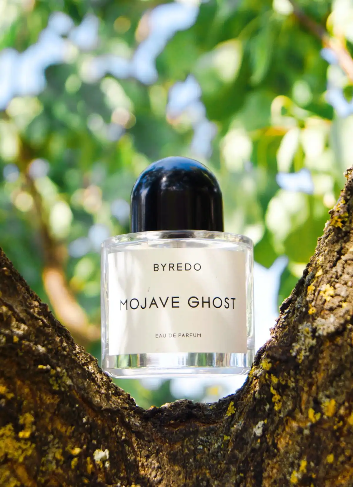 Độ lưu hương Byredo Mojave Ghost