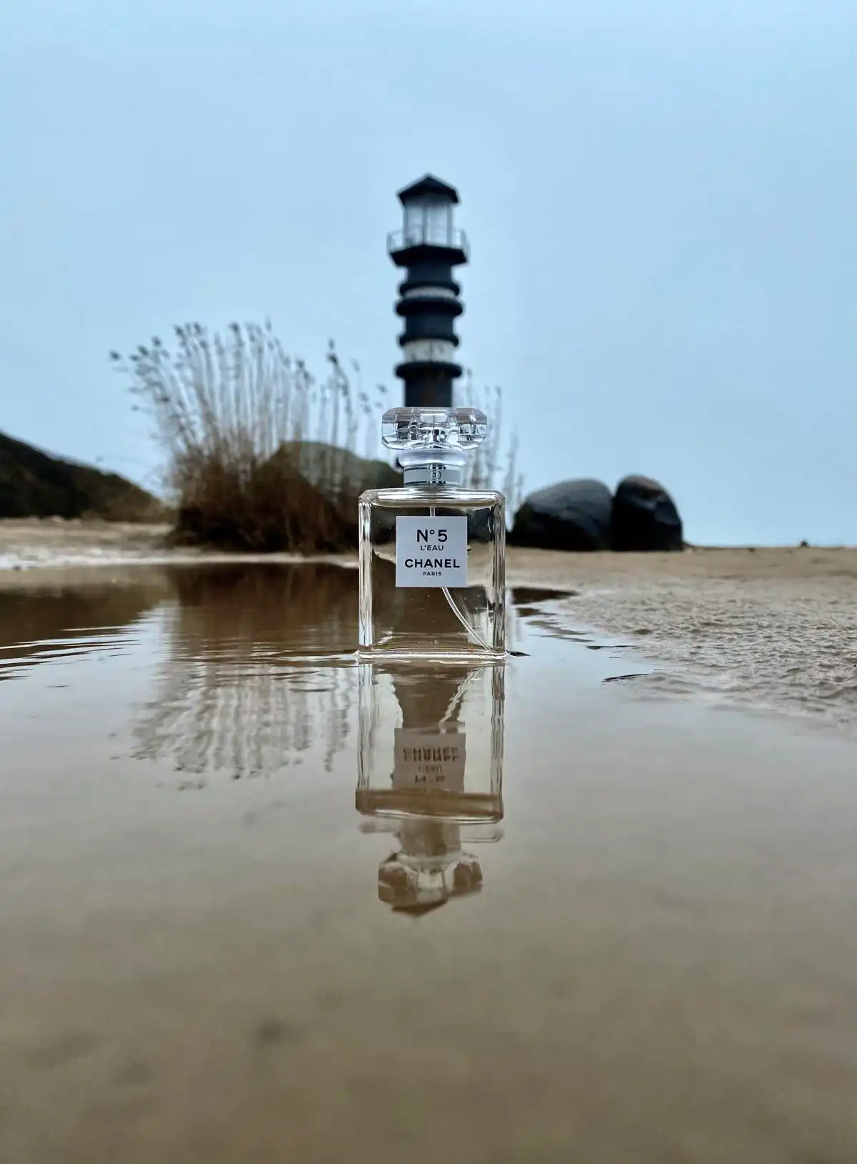 Tóm tắt nhanh Chanel No 5 L’Eau