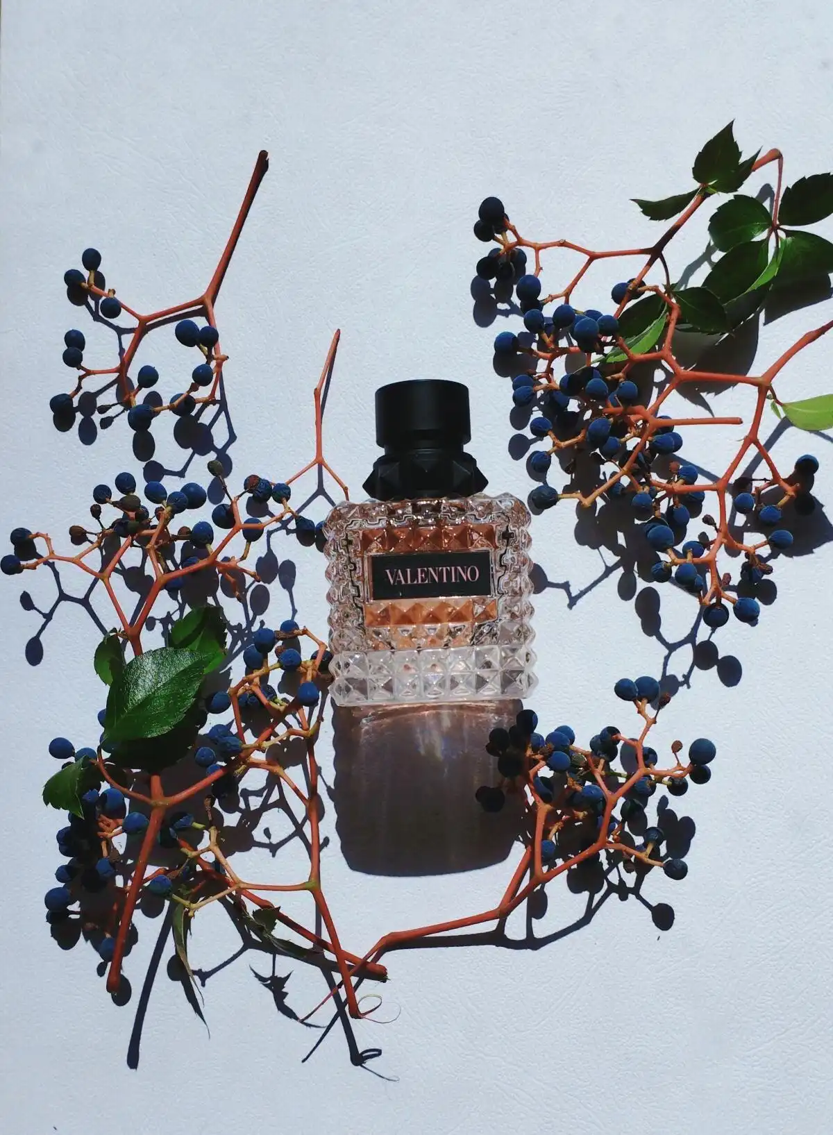 Tính linh hoạt Valentino Donna Born In Roma